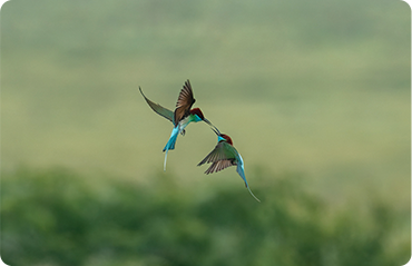 索尼微单15周年旗舰之旅