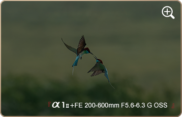 索尼微单15周年旗舰之旅