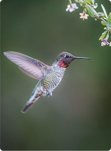 索尼微单15周年旗舰之旅