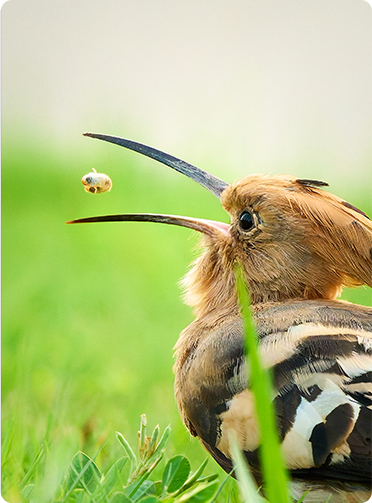 索尼微单15周年旗舰之旅