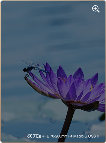 索尼微单15周年旗舰之旅