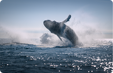 索尼微单15周年旗舰之旅