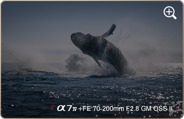 索尼微单15周年旗舰之旅