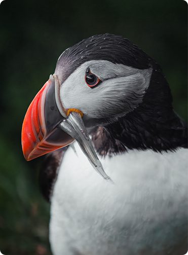 索尼微单15周年旗舰之旅