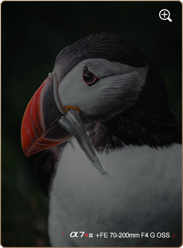 索尼微单15周年旗舰之旅