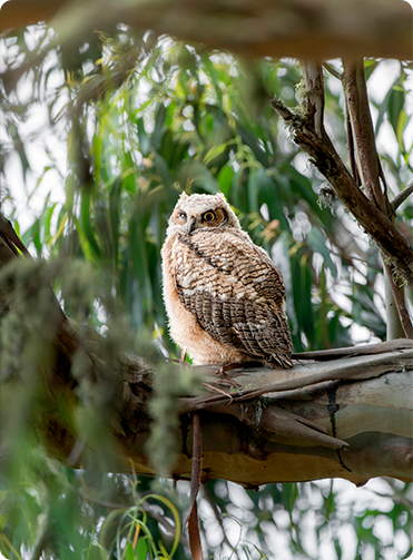 索尼微单15周年旗舰之旅