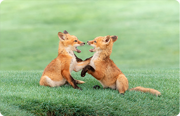 索尼微单15周年旗舰之旅