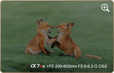 索尼微单15周年旗舰之旅