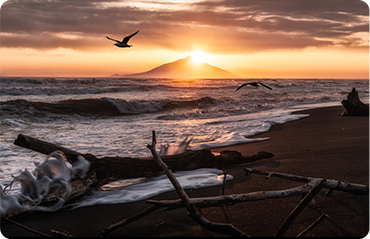 索尼微单15周年旗舰之旅