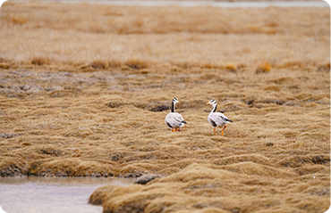 索尼微单15周年旗舰之旅