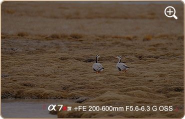 索尼微单15周年旗舰之旅