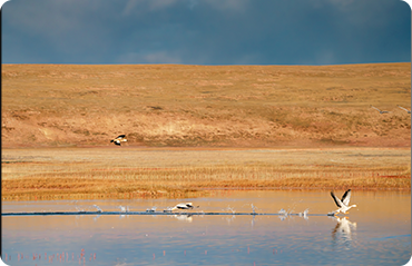 索尼微单15周年旗舰之旅