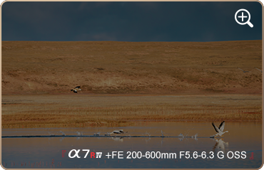 索尼微单15周年旗舰之旅