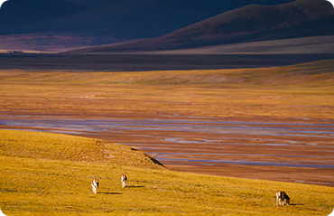索尼微单15周年旗舰之旅