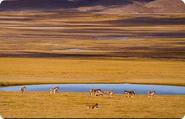 索尼微单15周年旗舰之旅