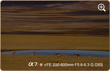 索尼微单15周年旗舰之旅