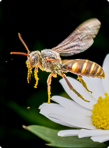 索尼微单15周年旗舰之旅