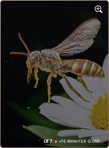 索尼微单15周年旗舰之旅