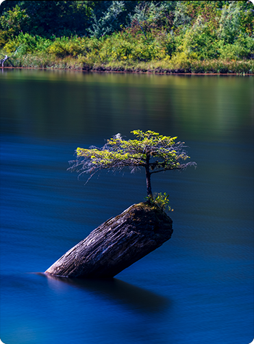 索尼微单15周年旗舰之旅