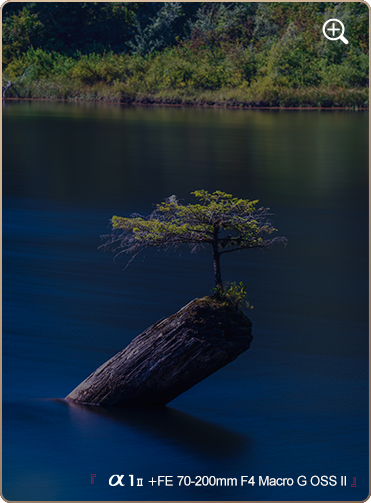 索尼微单15周年旗舰之旅