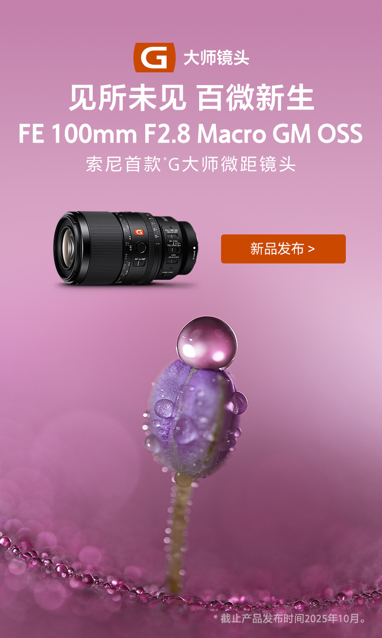 FE 300mm F2.8 GM OSS 全画幅超远摄大光圈定焦G大师镜头