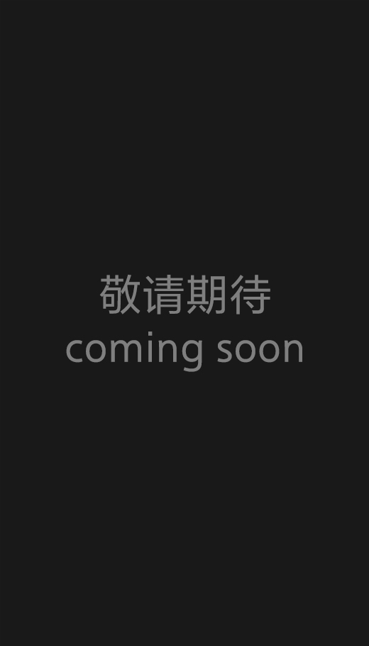 敬请期待