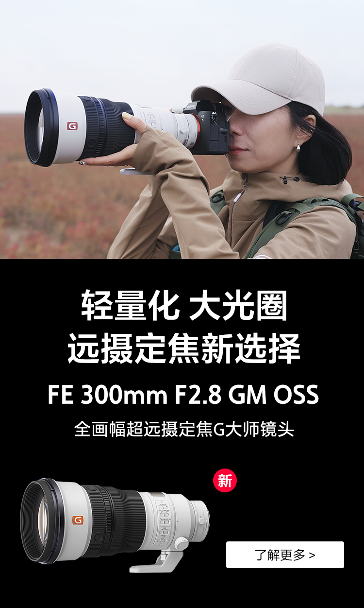 FE 300mm F2.8 GM OSS 全画幅超远摄大光圈定焦G大师镜头