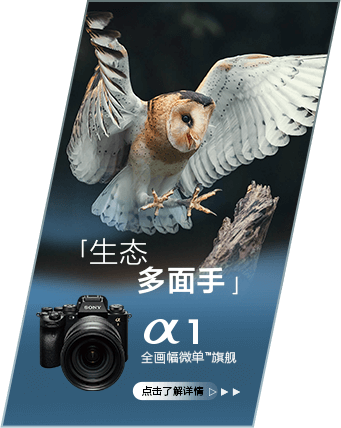 索尼微单 捕捉生命精彩瞬间
