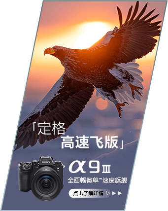 索尼微单 捕捉生命精彩瞬间