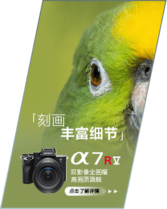 索尼微单 捕捉生命精彩瞬间