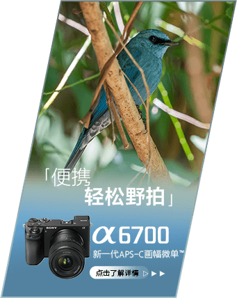 索尼微单 捕捉生命精彩瞬间