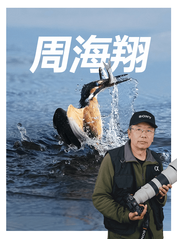 索尼双影像生态拍摄系统