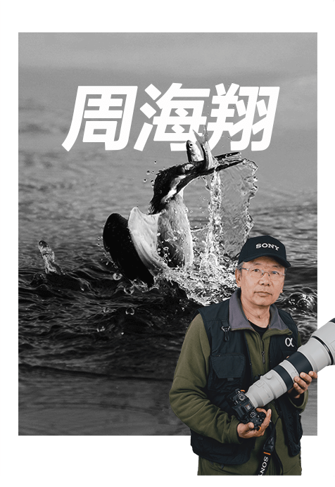 索尼双影像生态拍摄系统