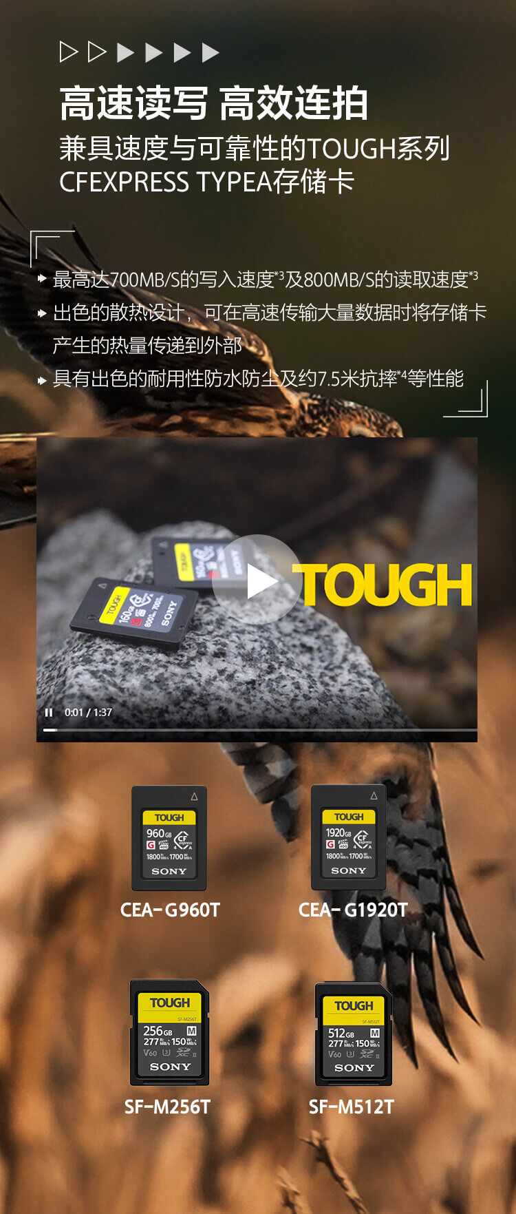 索尼双影像生态拍摄系统