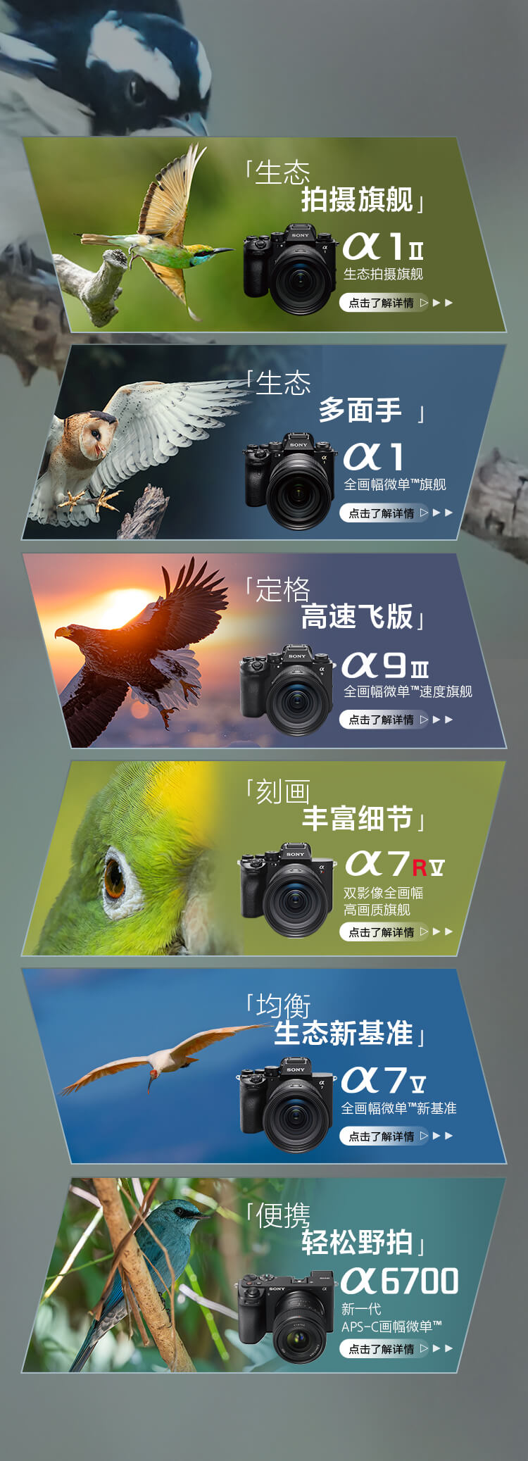 索尼双影像生态拍摄系统