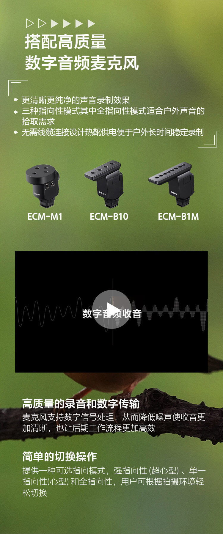 索尼双影像生态拍摄系统