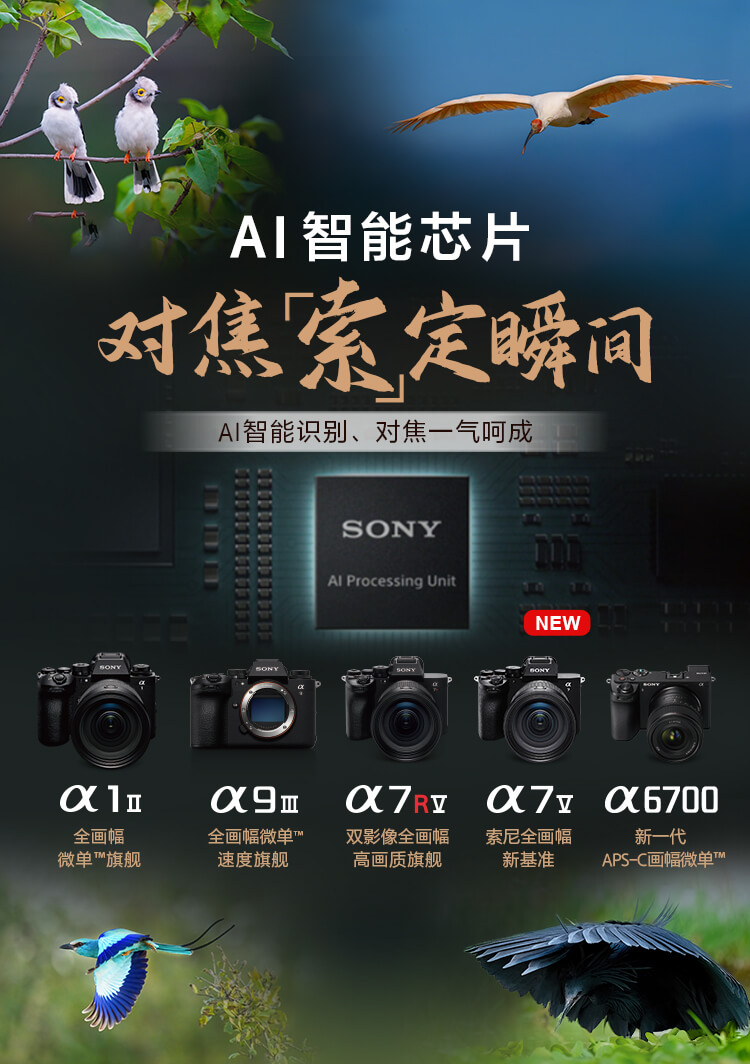 索尼双影像生态拍摄系统