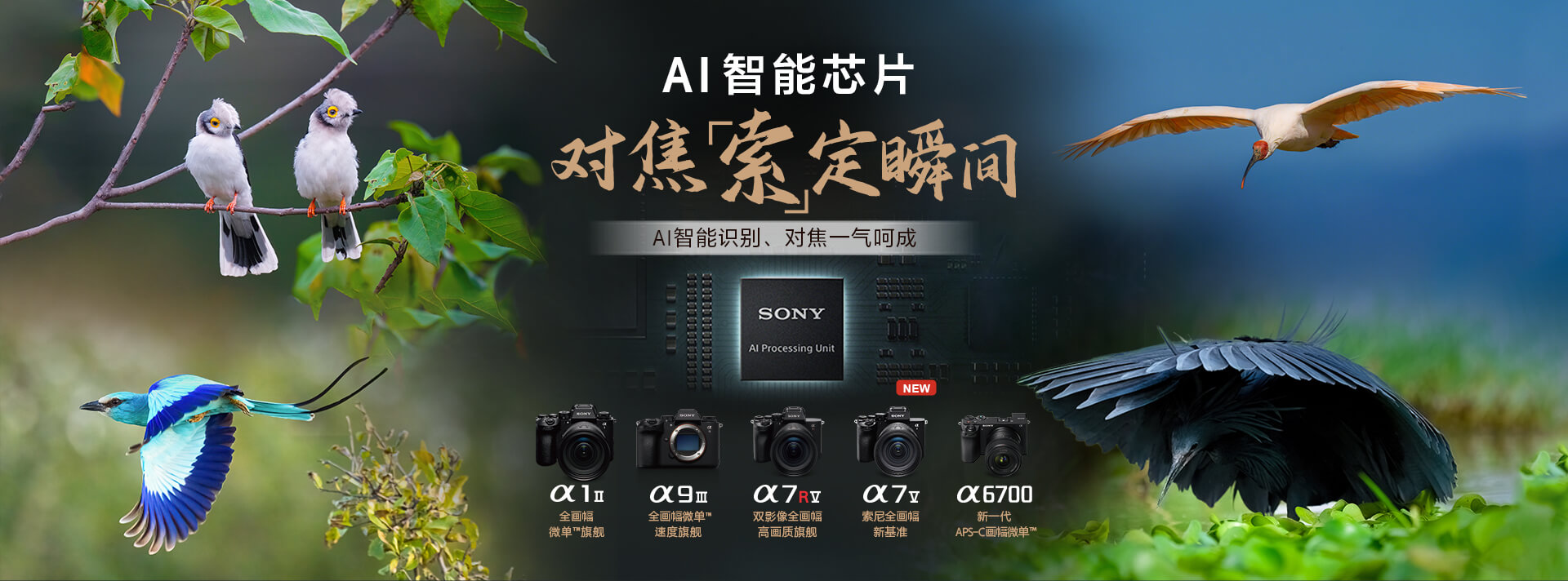 索尼双影像生态拍摄系统