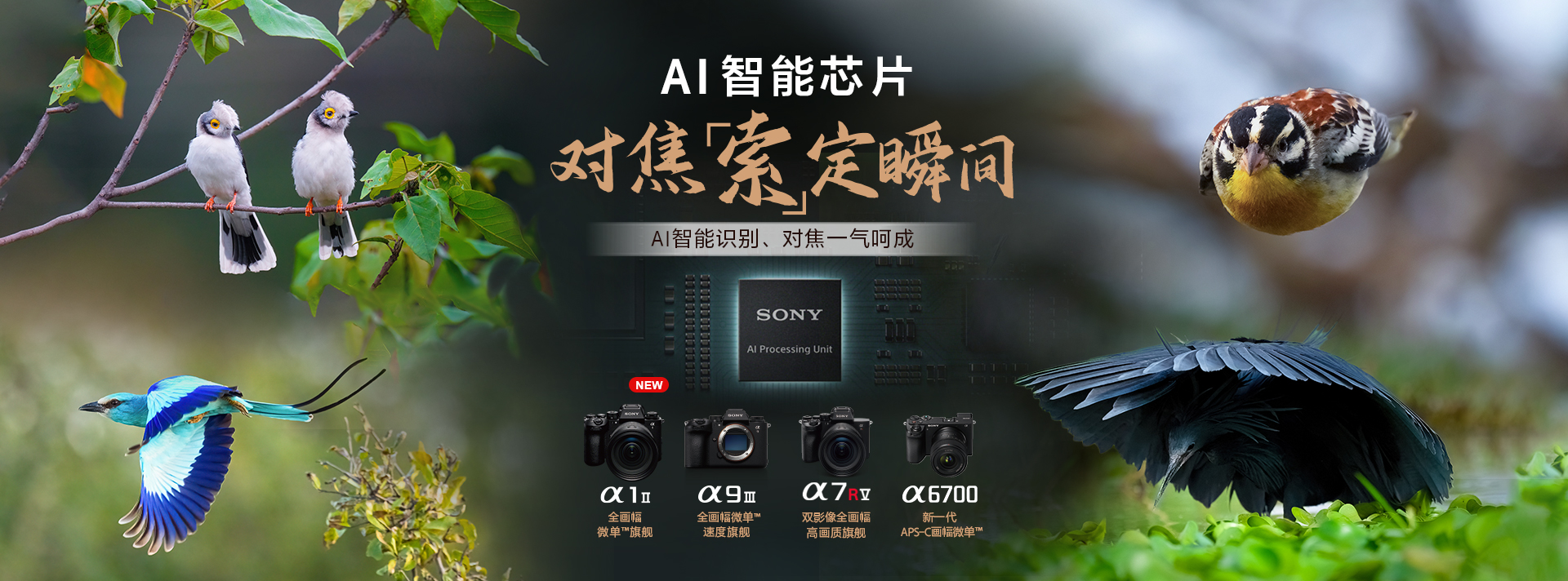 索尼双影像生态拍摄系统
