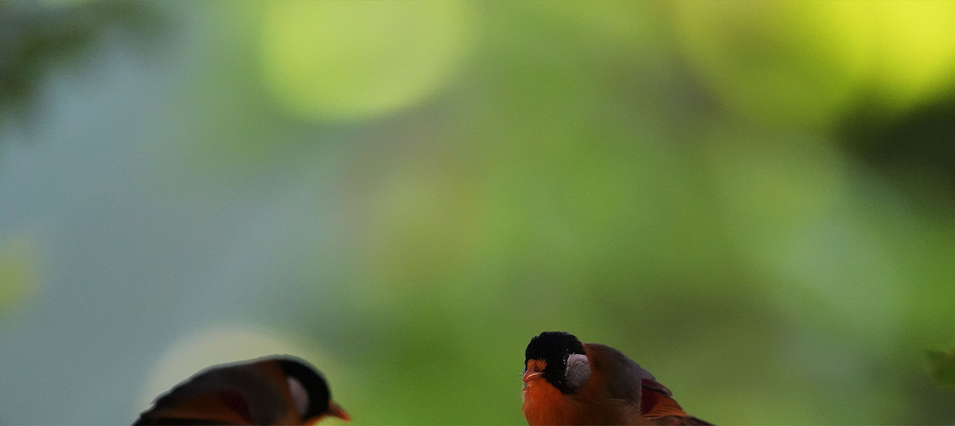 索尼双影像生态拍摄系统