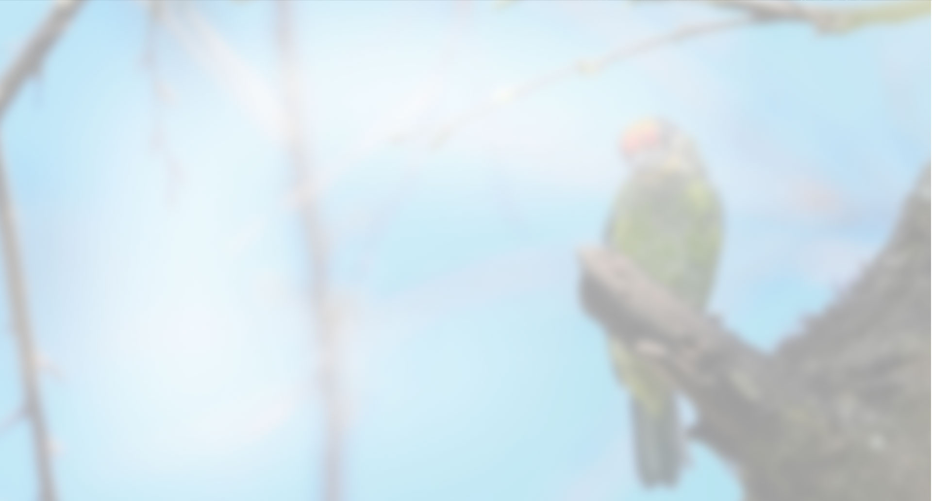 索尼双影像生态拍摄系统