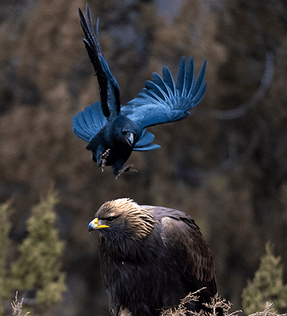 索尼双影像生态拍摄系统