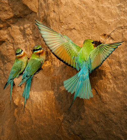 索尼双影像生态拍摄系统