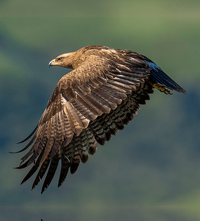 索尼双影像生态拍摄系统