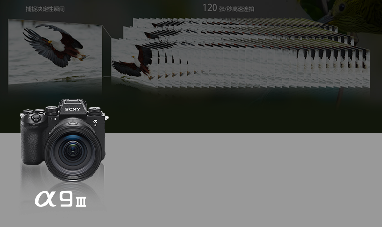 索尼双影像生态拍摄系统