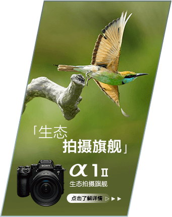 索尼微单 捕捉生命精彩瞬间