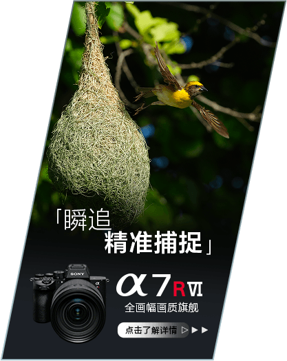 索尼微单 捕捉生命精彩瞬间