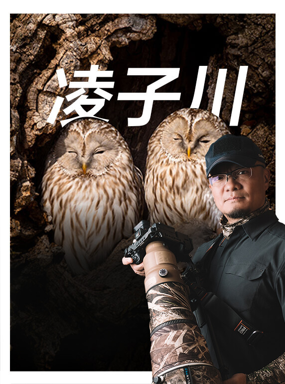 索尼双影像生态拍摄系统