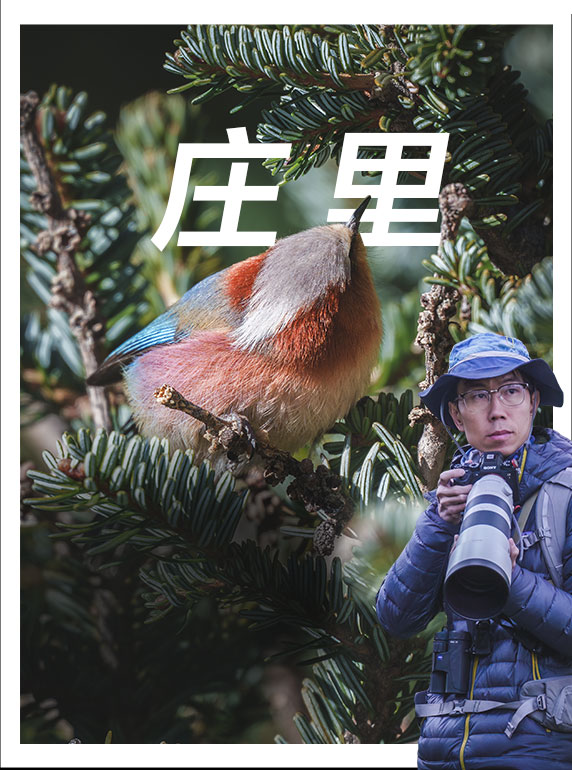 索尼双影像生态拍摄系统