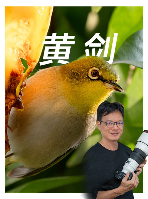 索尼双影像生态拍摄系统